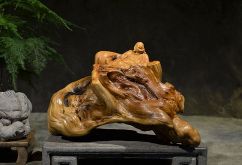 2010年,山西男子為收藏崖柏賣(mài)房,11年后一塊木料拍賣(mài)出38萬(wàn)