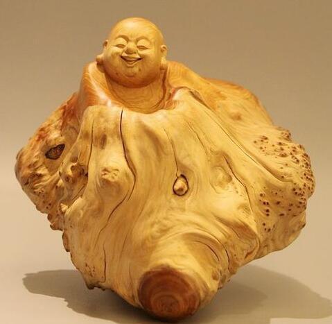 未來(lái)彌勒佛與根魂崖柏的前世今生