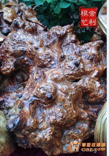 崖柏,崖柏根瘤,崖柏精品,崖柏藝術(shù)崖柏根雕