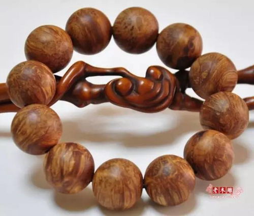 什么樣的崖柏與犀牛有99 的相似度