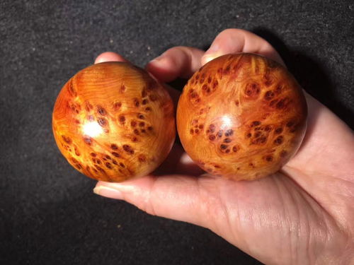 川料崖柏保健球,是把玩件,更是養生佳品