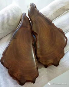 如何判定崖柏是否屬于精品 從紋理、香味到藝術(shù)價值的綜合指南