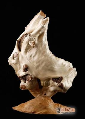 崖柏靈韻，琴心相印——品析太行崖柏《伯牙撫琴》