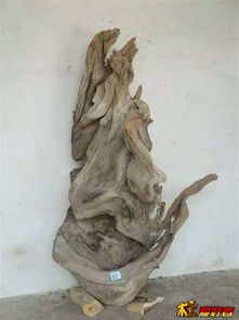 崖柏精品 自然造化的藝術(shù)瑰寶與鑒賞之道