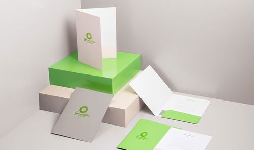 專業(yè)廣告設(shè)計(jì)，助力品牌騰飛——金妻玉寶杰出設(shè)計(jì)服務(wù)