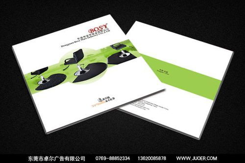 東莞畫冊(cè)設(shè)計(jì)與廣告宣傳 打造品牌形象的專業(yè)選擇